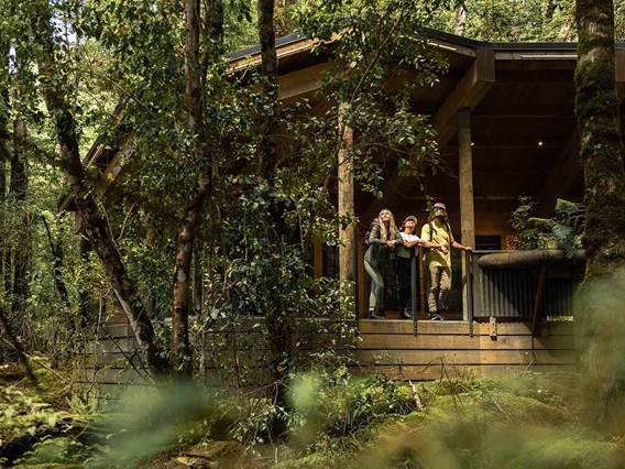 Three guests stand outside a hut in the middle of the forest, looking up at the surrounding trees 